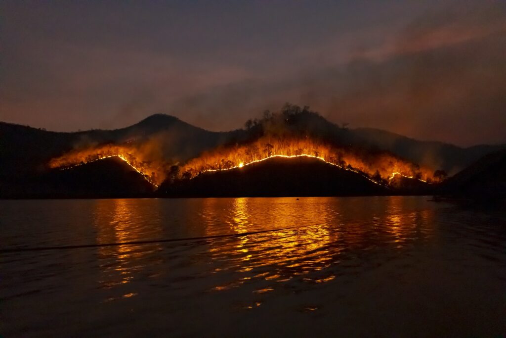 The fire broke out in the early morning hours